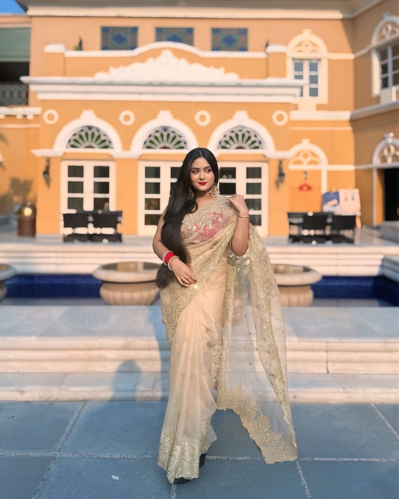 Georgeuse Gold Soft Nylon Designer Organza Saree