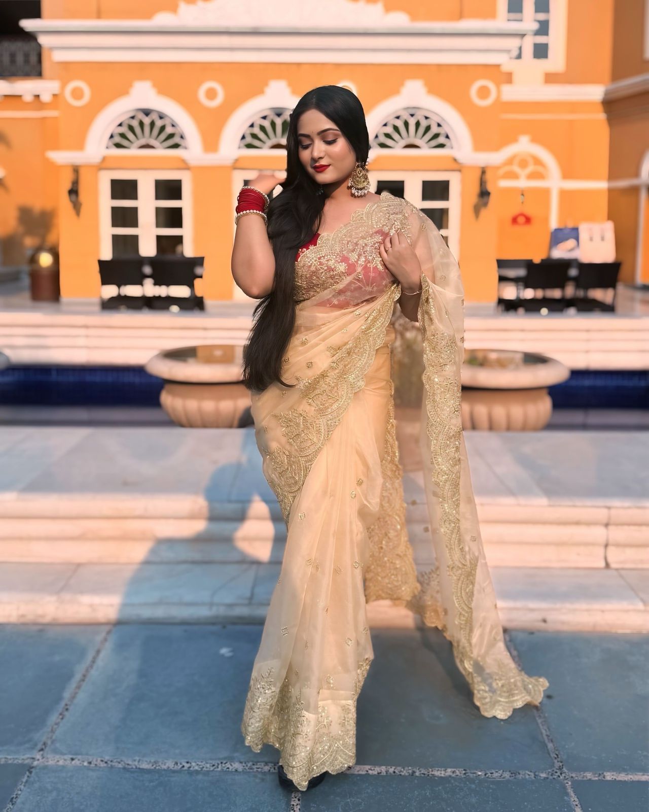 Georgeuse Gold Soft Nylon Designer Organza Saree