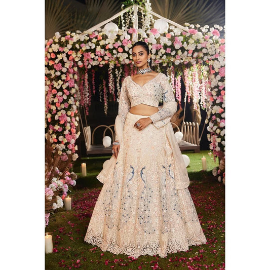 Premium Embroidered Butterfly Net Lehenga Set