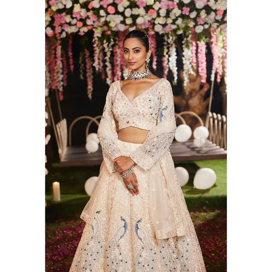 Premium Embroidered Butterfly Net Lehenga Set
