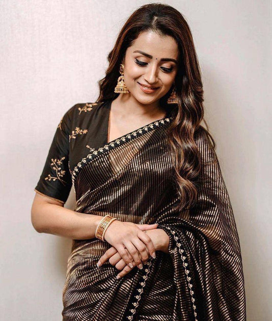 Black & Gold Zari Tissue Saree with Sequins & Dori Work