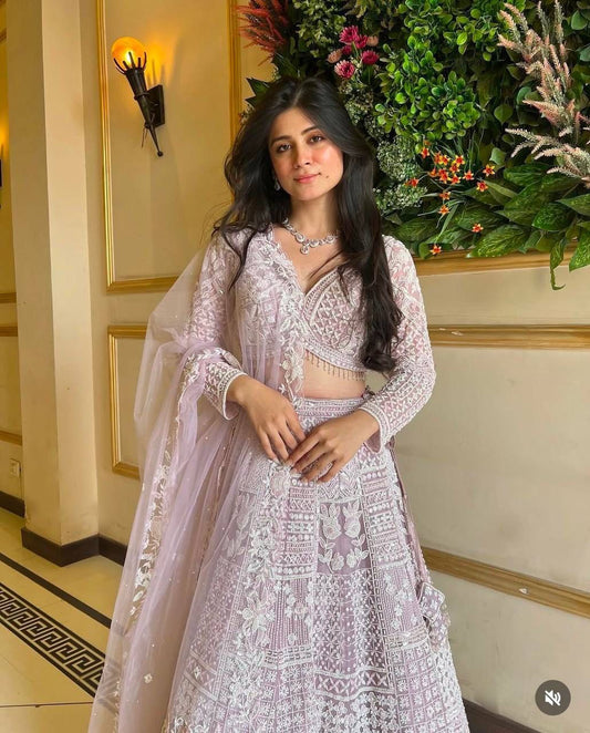 Elegance Redefined – Premium Butterfly Net Lehenga Set