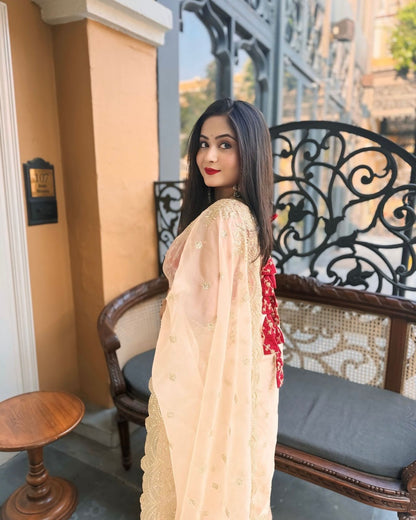 Georgeuse Gold Soft Nylon Designer Organza Saree