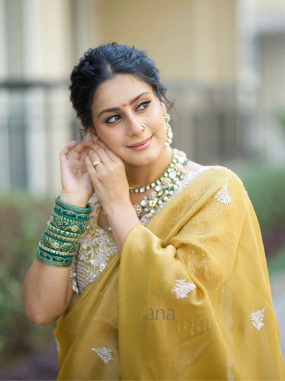 Soft Tebby Silk Saree with Sequins & Cording Embroidery