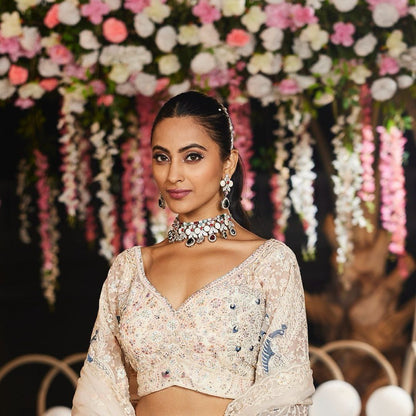 Premium Embroidered Butterfly Net Lehenga Set