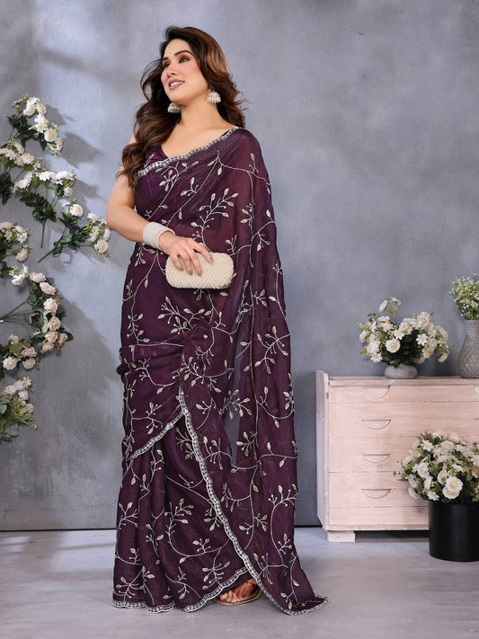 Stunning Jimmy Choo Saree