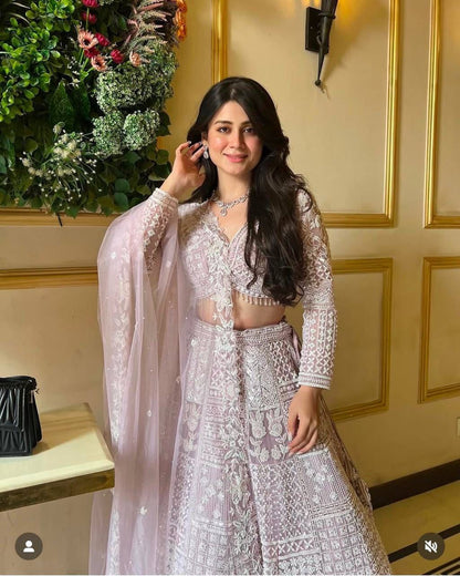 Elegance Redefined – Premium Butterfly Net Lehenga Set