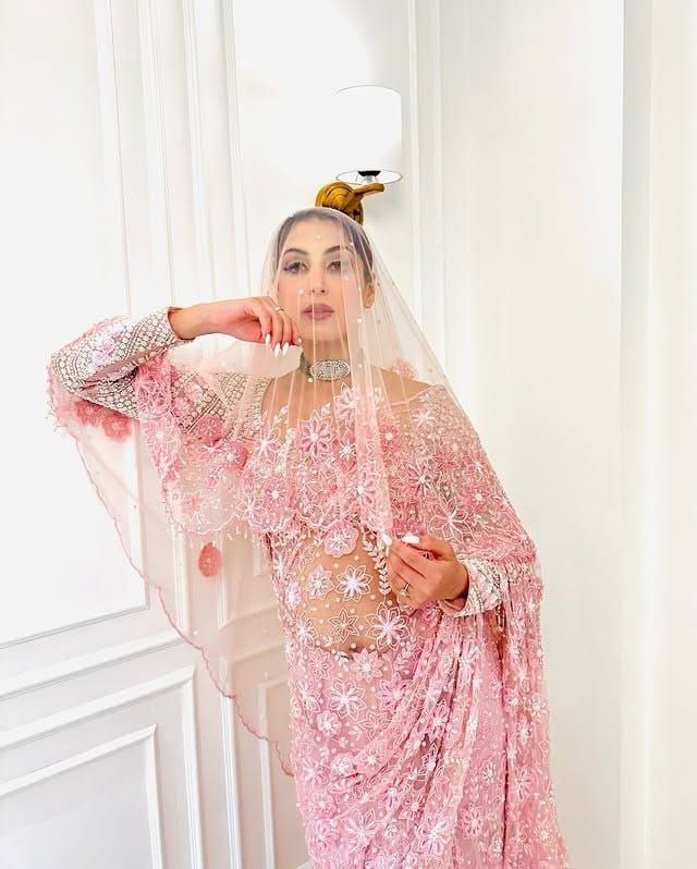 Embrace tradition modern Pink Butterfly Net Saree