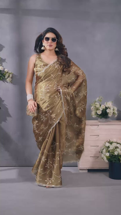 Stunning Jimmy Choo Saree
