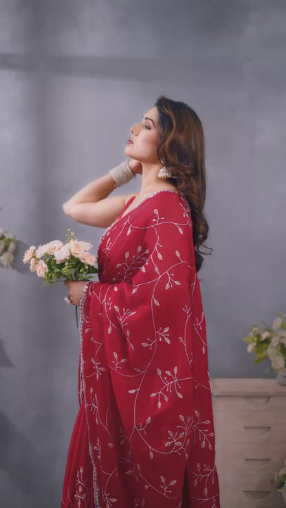 Stunning Jimmy Choo Saree