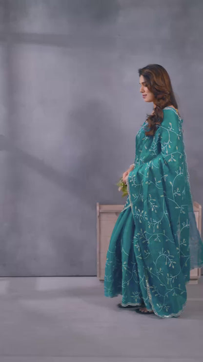 Stunning Jimmy Choo Saree