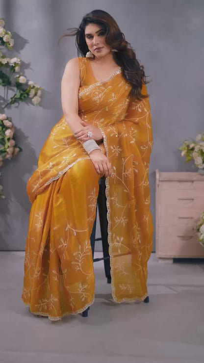 Stunning Jimmy Choo Saree