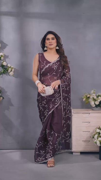Stunning Jimmy Choo Saree
