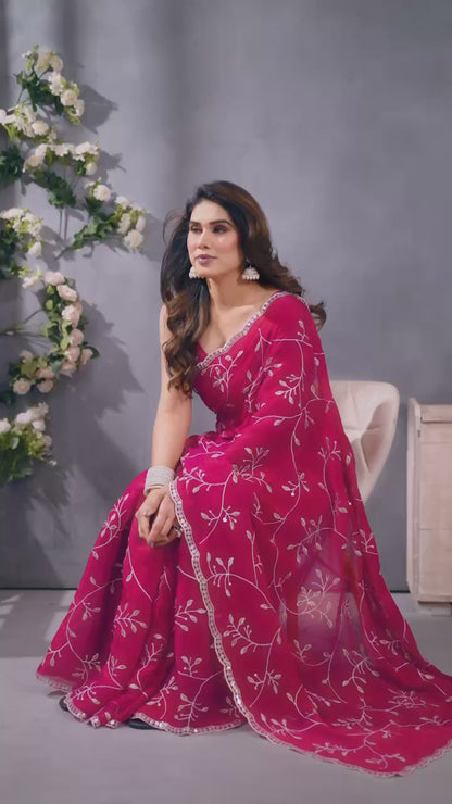 Stunning Jimmy Choo Saree